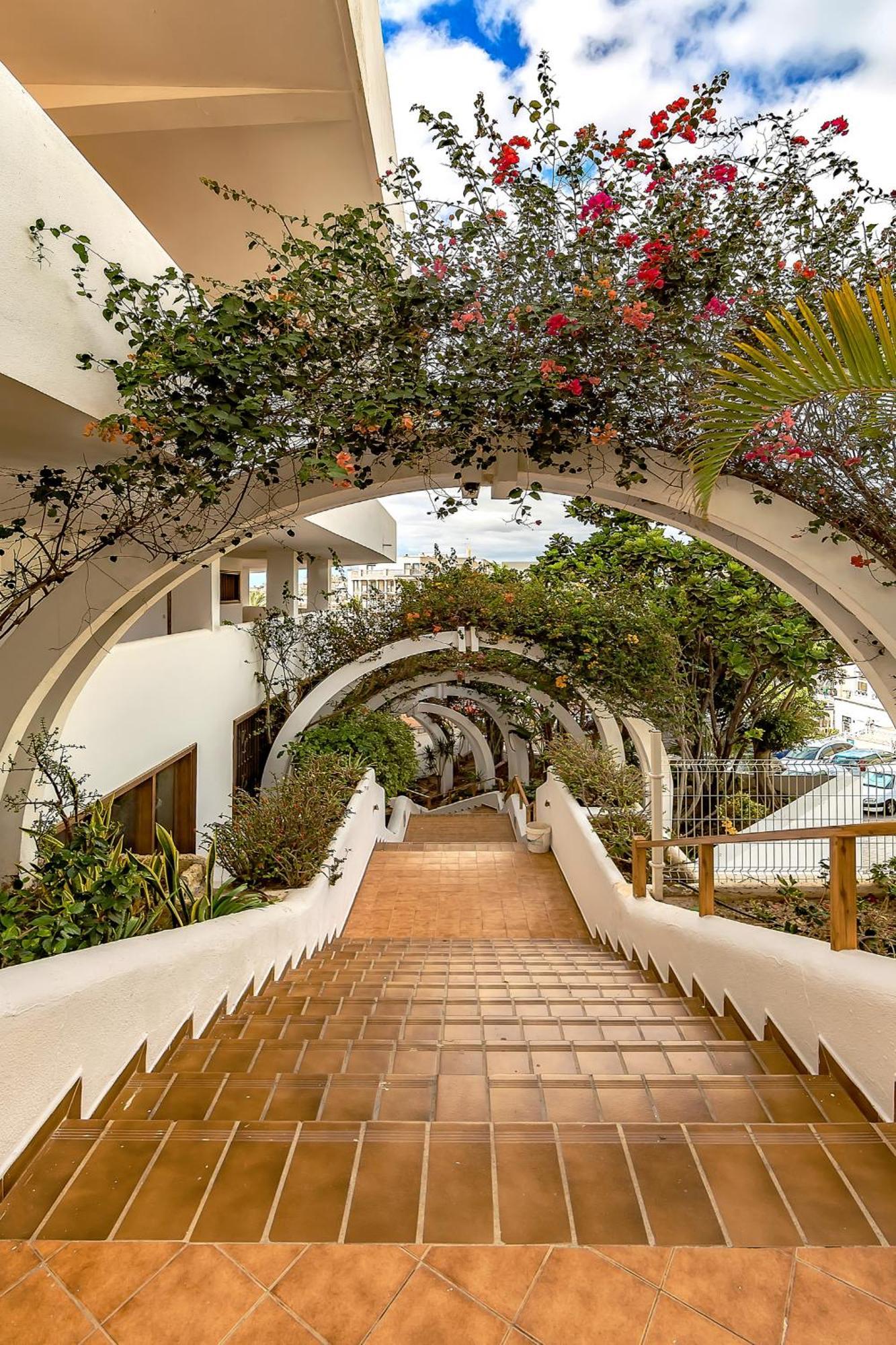 Brand New Apartment In Parque Royal Pool Terrace Wifi Costa Adeje  Exteriör bild